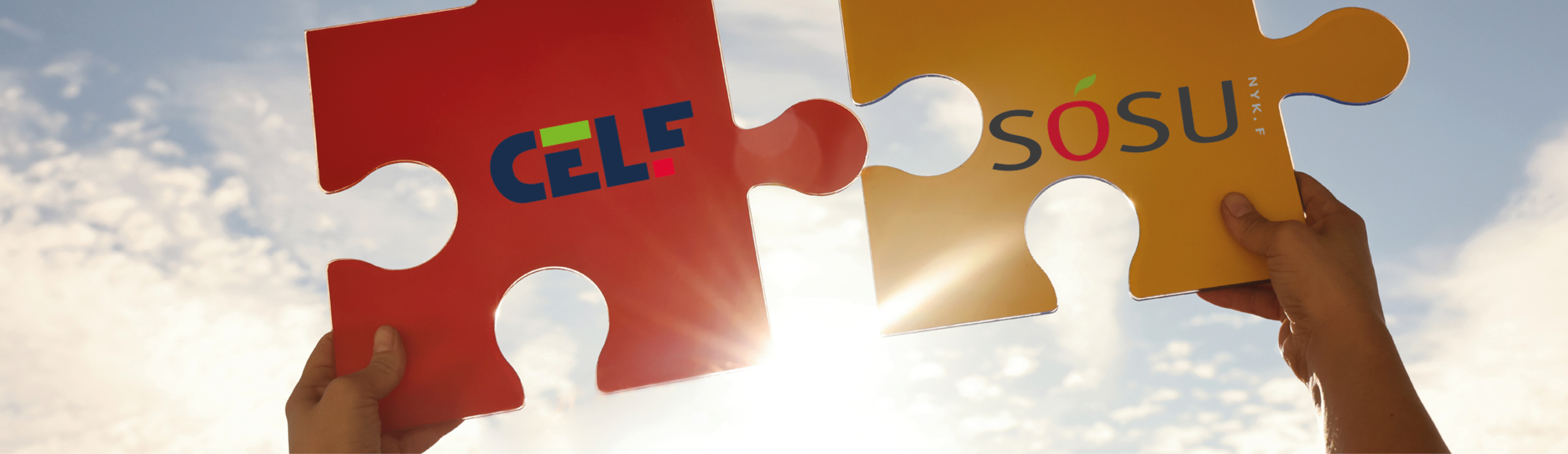 Decembers nyhedsbrev er udkommet med gode historier fra CELF & SOSU